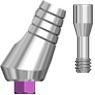 Picture of Angled Abutment 25 degree option for 4.5 Platform Angled Abutments product (BlueSkyBio.com)