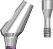 Picture of Angled Abutment 30 degree option for Angled Abutments product (BlueSkyBio.com)