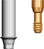 Picture of Plastic Abutment RP Platform (BlueSkyBio.com)