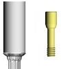 Picture of Gold 3.0 Platform Abutment (BlueSkyBio.com)